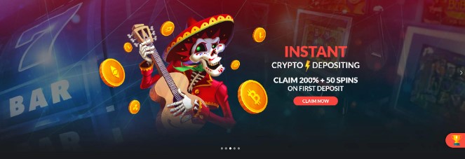 Casino Extreme Company Information